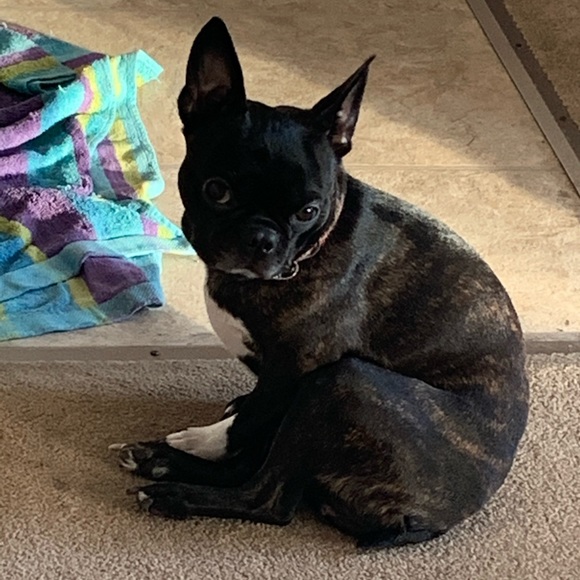 Meet your Posher, Jason - Picture 1 of 1